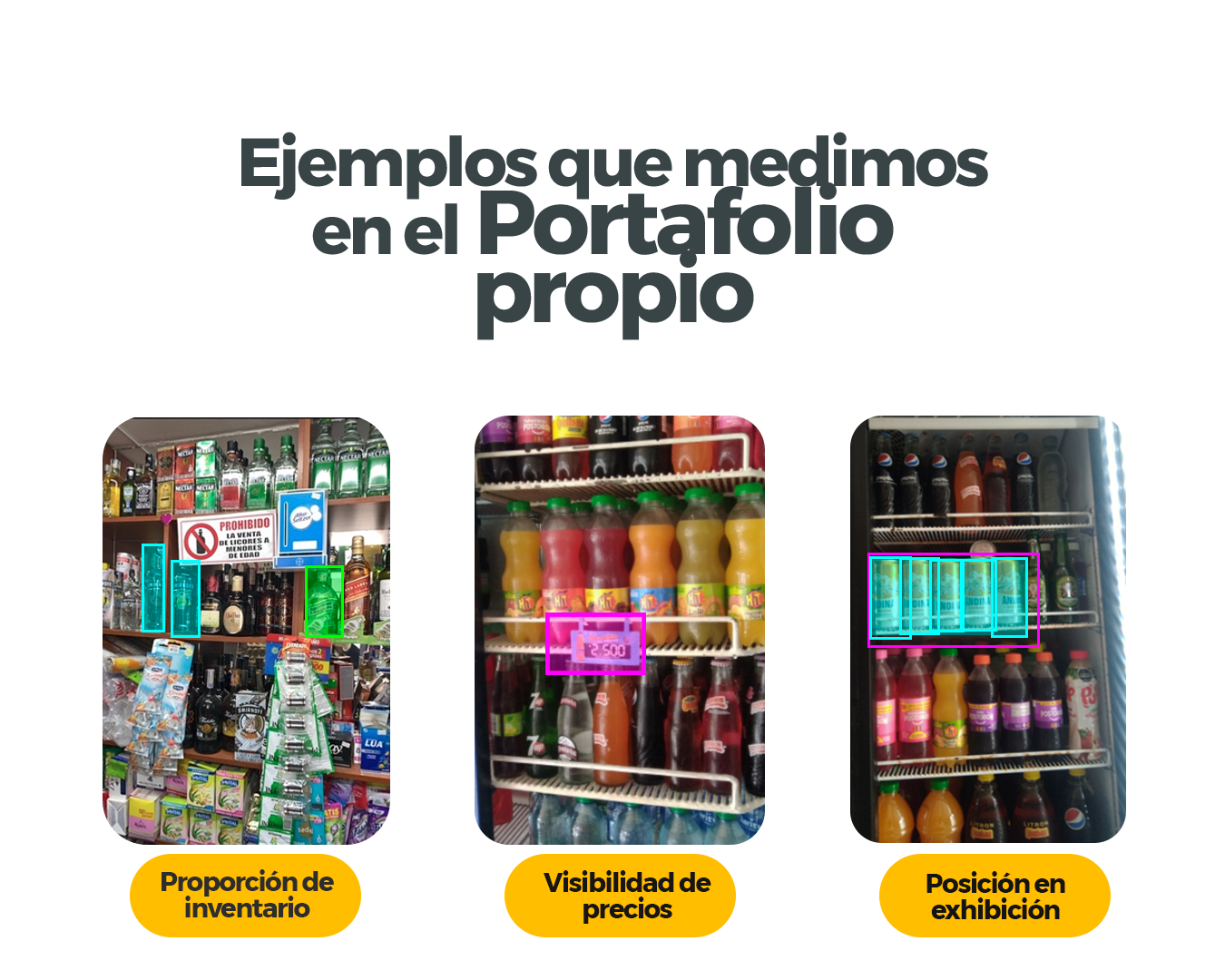 ejemplo portafolios propios